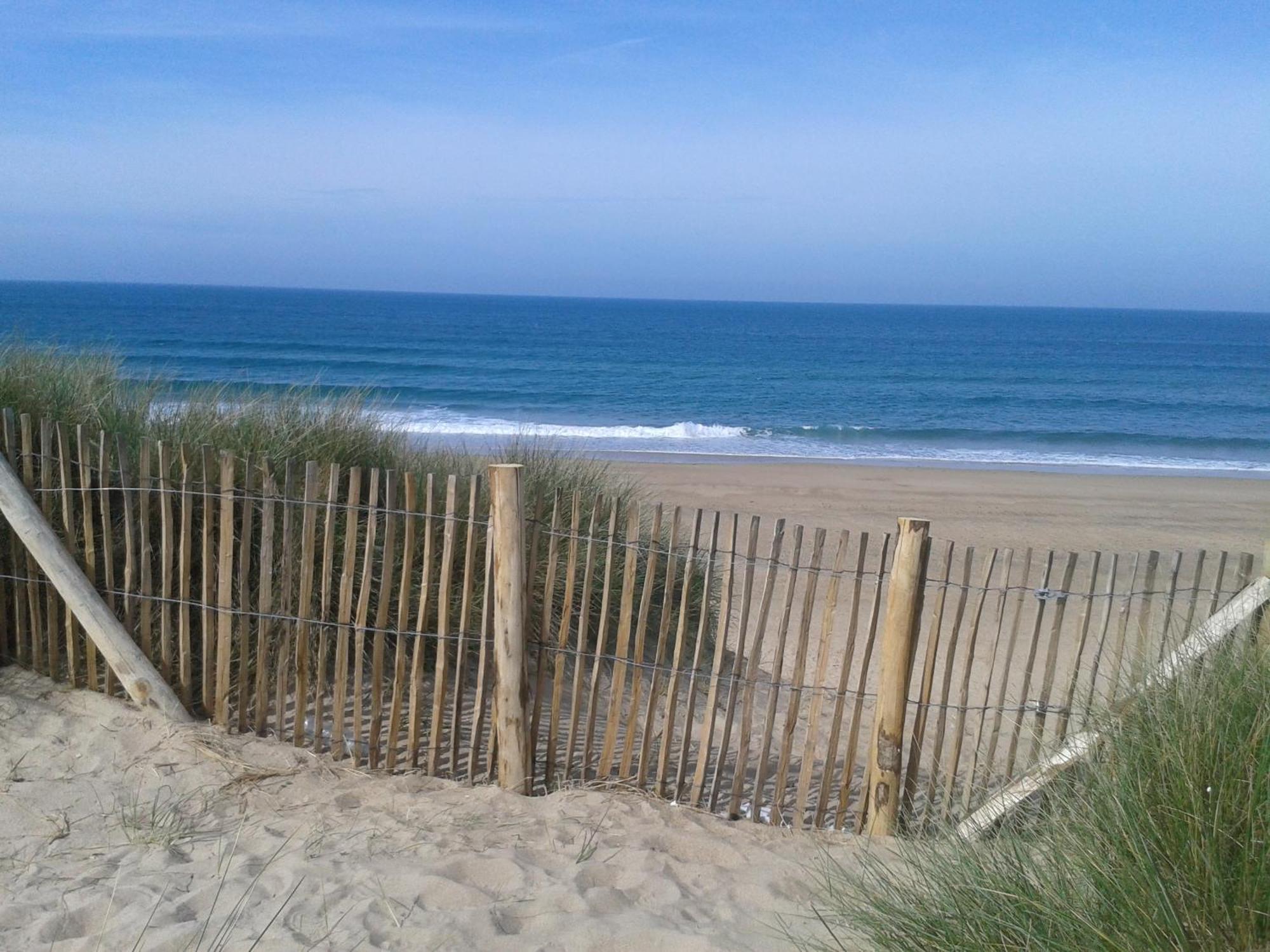 Gite "Rose Des Sables" - 800M De La Plage De Surtainville, Proche Commerces - Piscine En Juillet Et Aout Kültér fotó